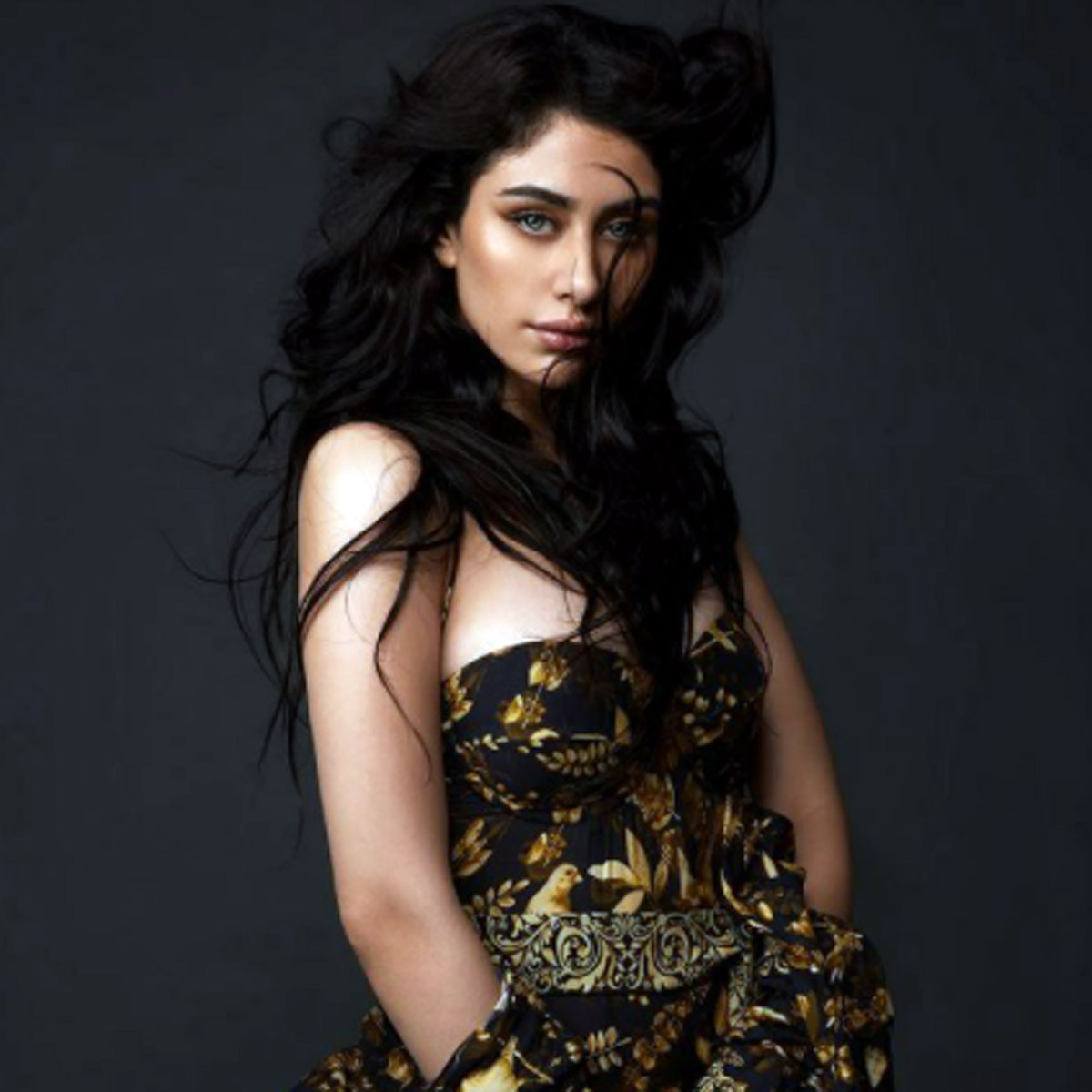 वरीना हुसैन