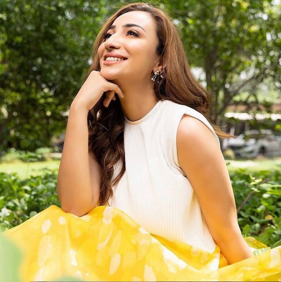 अनुशे अशरफ