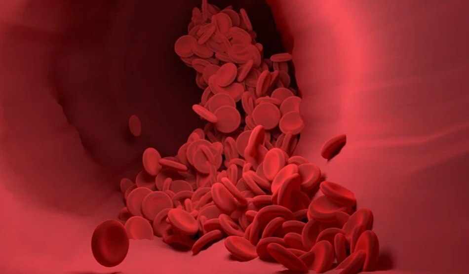 फाइबर और कोलेस्ट्रॉल4