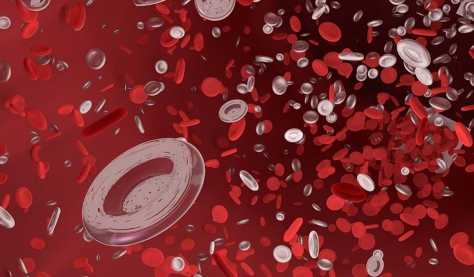 हृदय रोग2