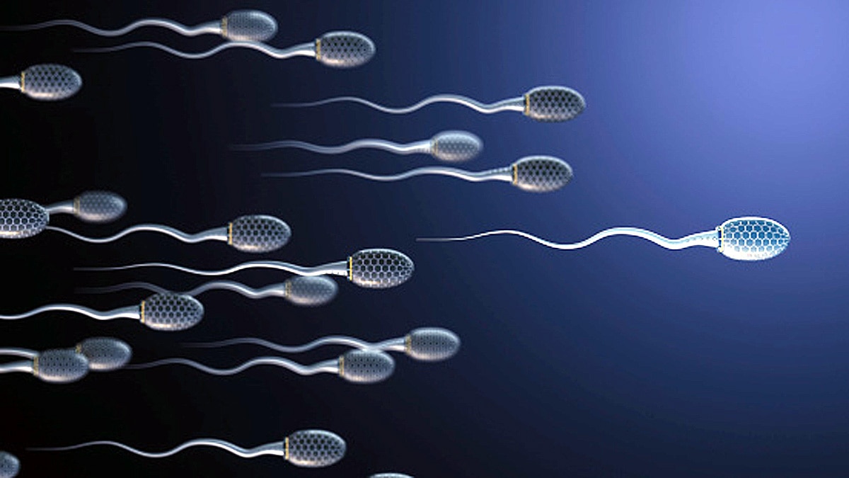 Sperm Hunting Antibodies