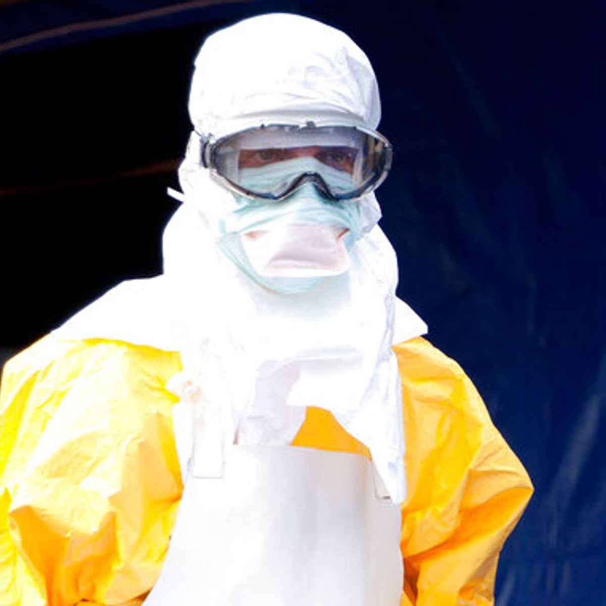 Ebola like virus marburg