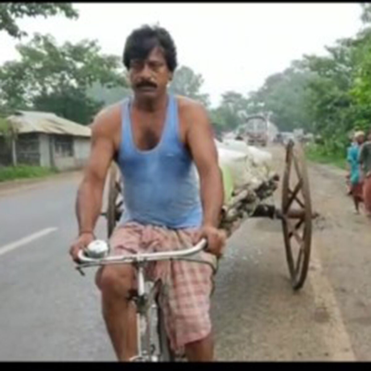 pulls bullock cart by bicycle