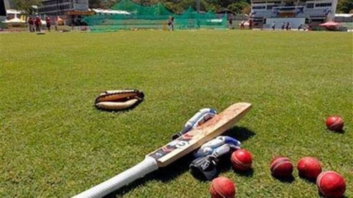 Cricket bat and ball
