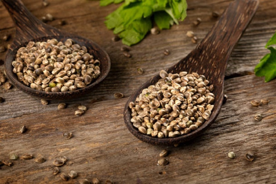 प्रोटीन की कमी पूरा करेंगी ये 10 चीजें