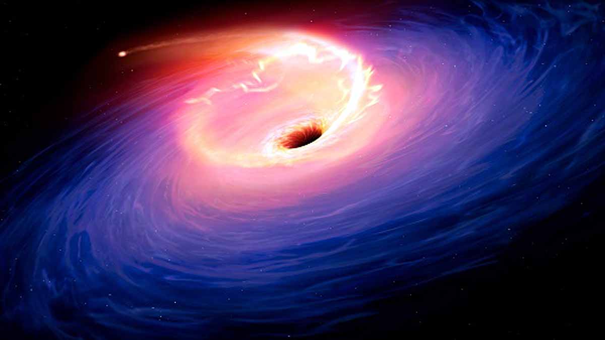 Complete Map of Black Holes