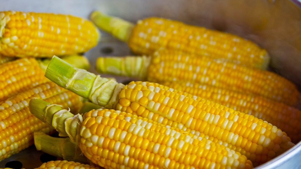 विटामिन और पोषक तत्व