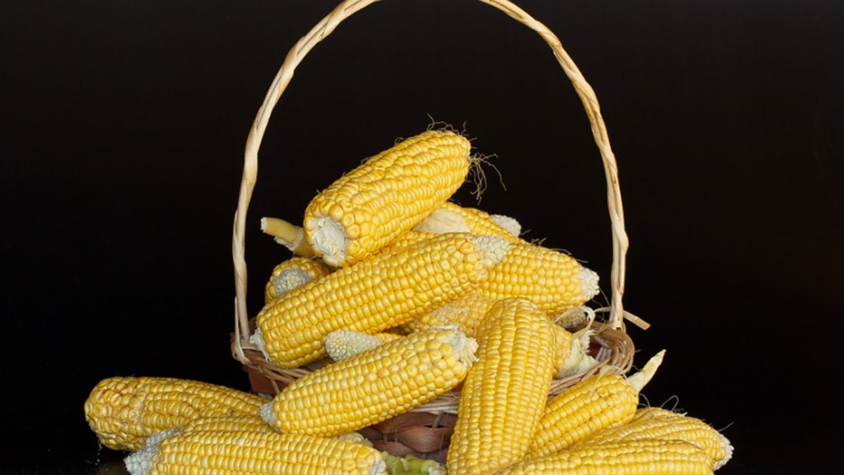 एनीमिया दूर करता है