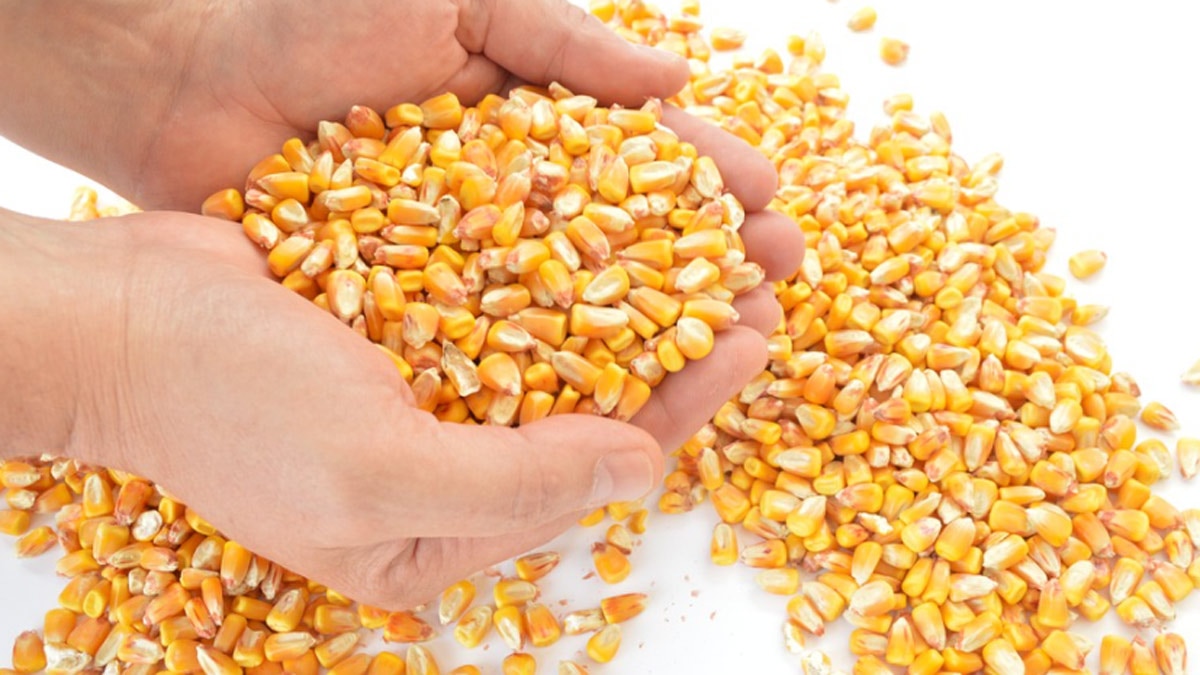 दिल के लिए फायदेमंद