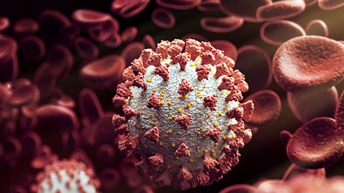 Tapeworm Drugs Covid-19