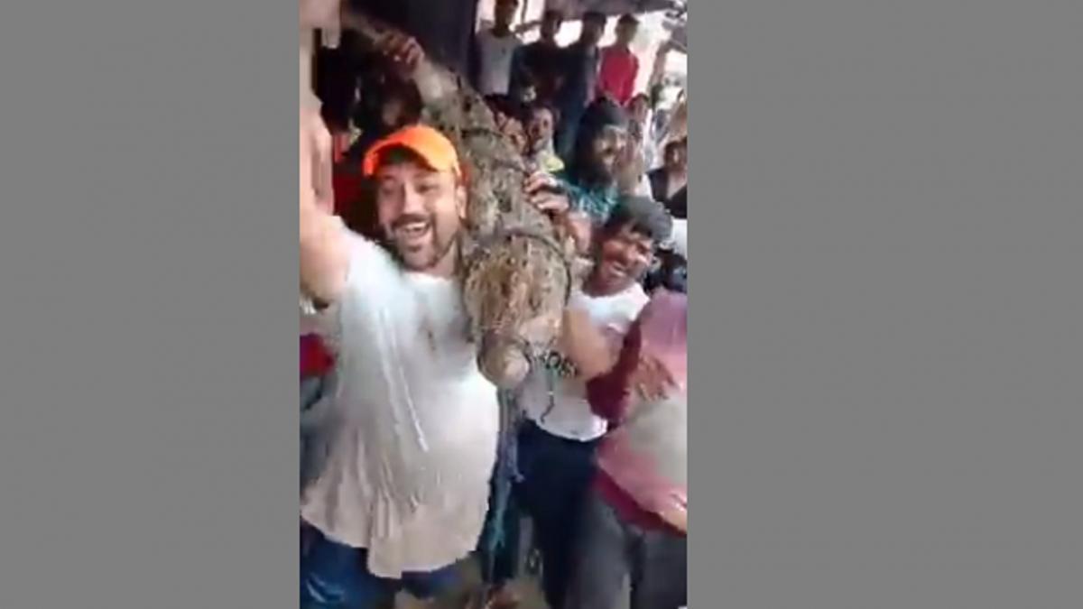 मगमच्छ को कंधे पर उठाए लोग