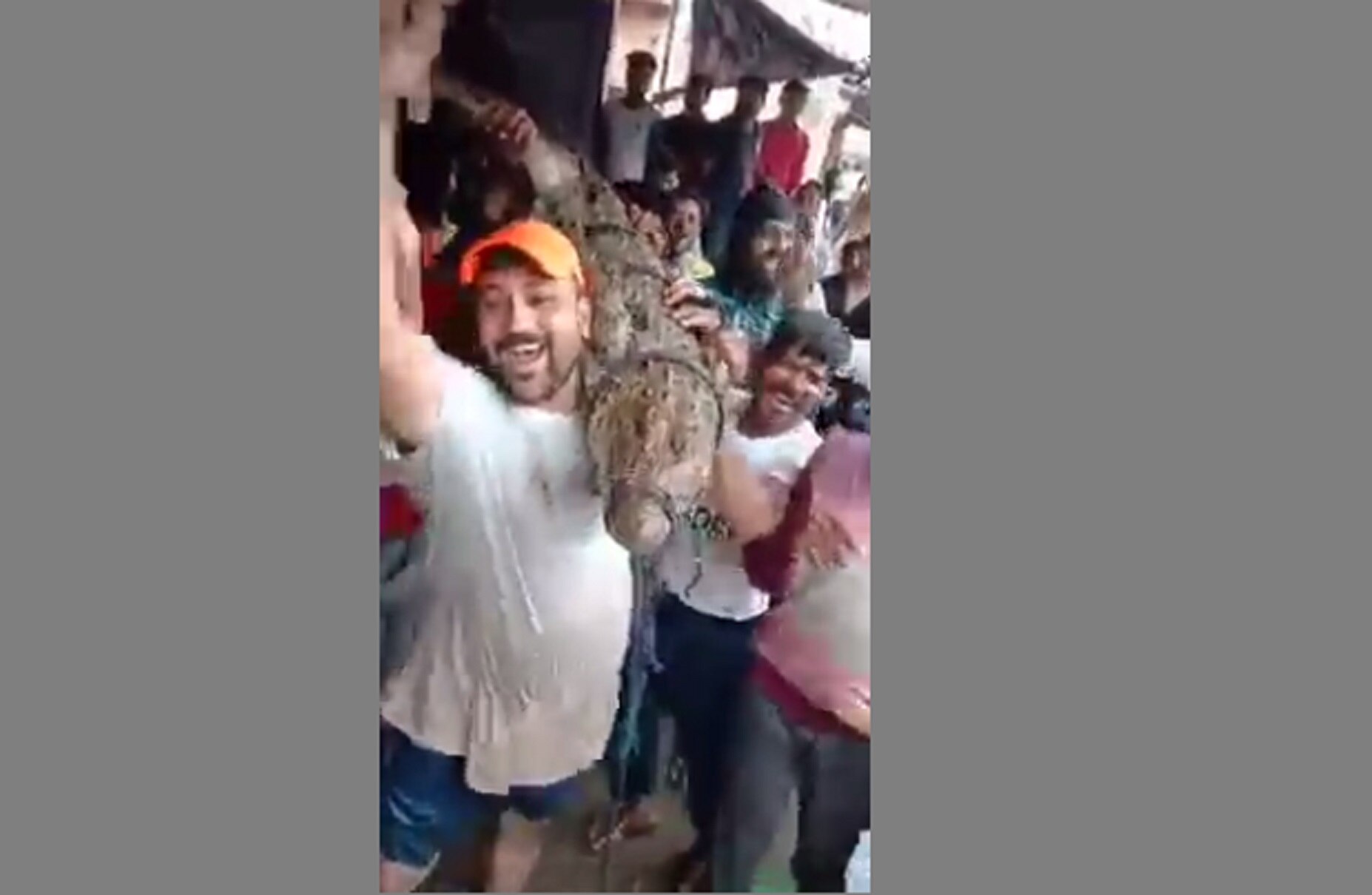 मगरमच्छ