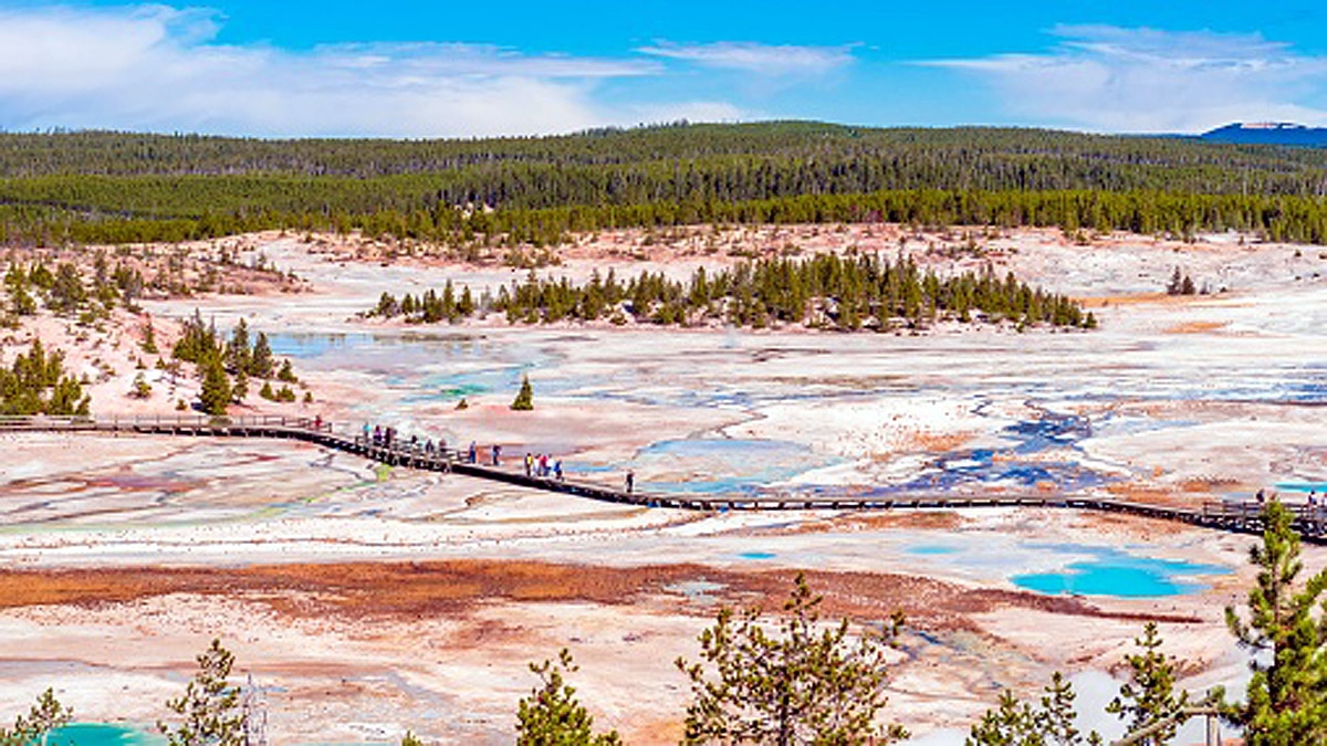 1100 Earthquakes Yellowstone Park