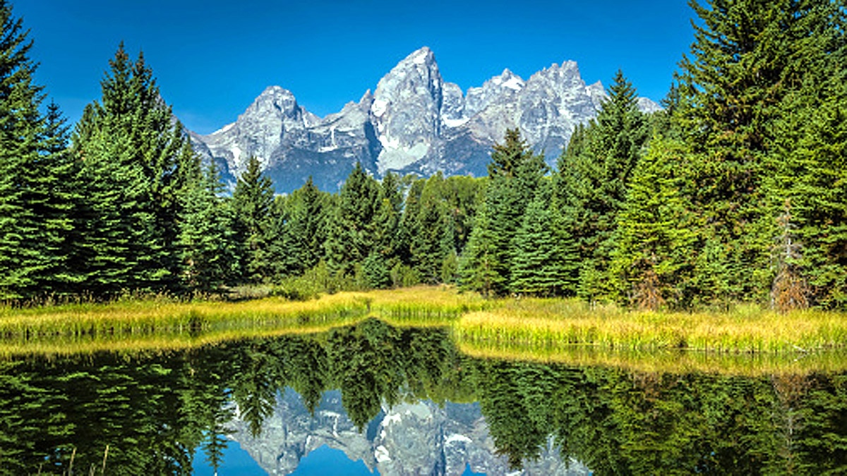 1100 Earthquakes Yellowstone Park