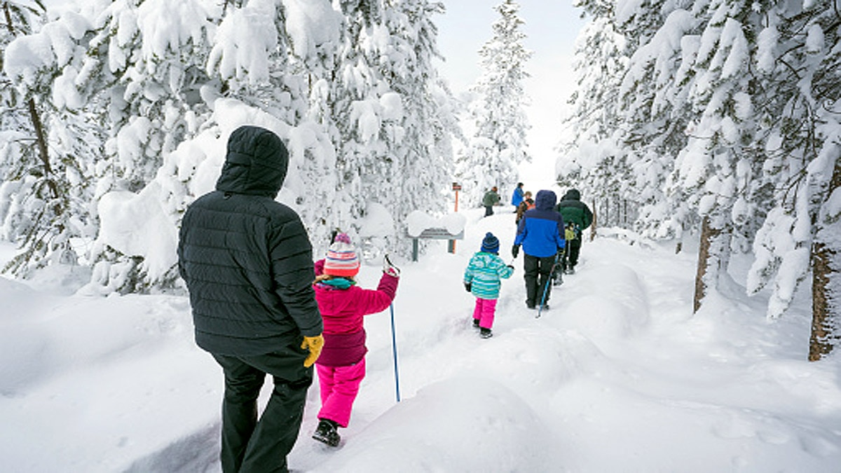 1100 Earthquakes Yellowstone Park