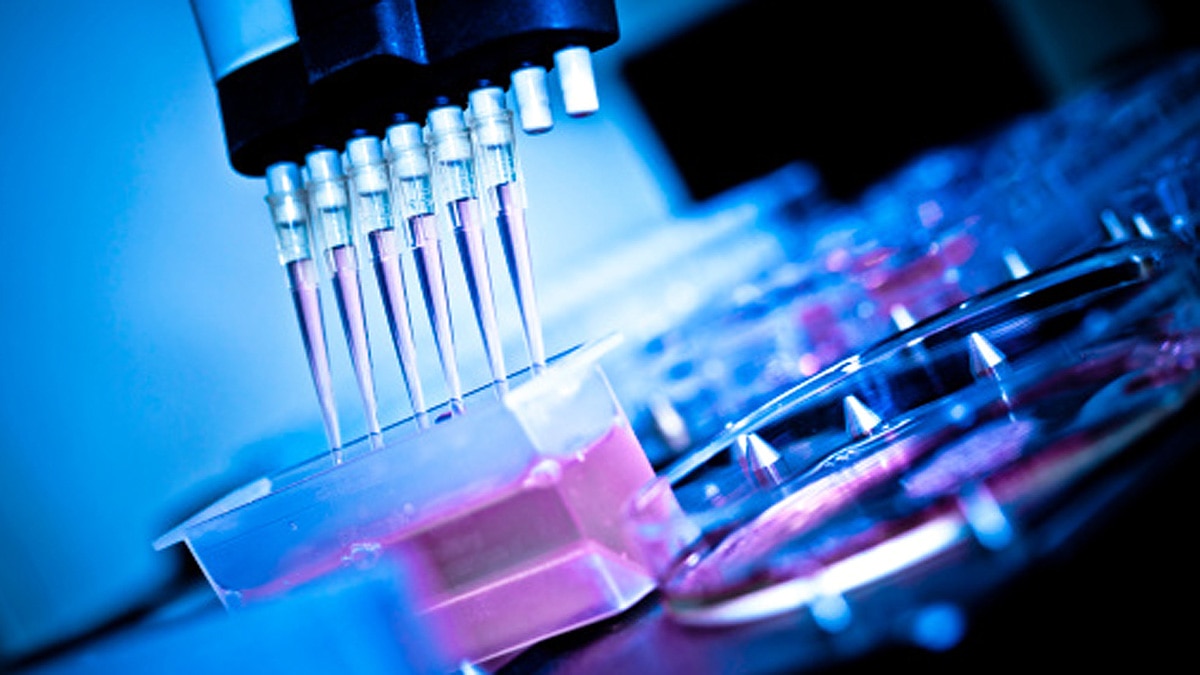 Eatable Vaccines from Plants