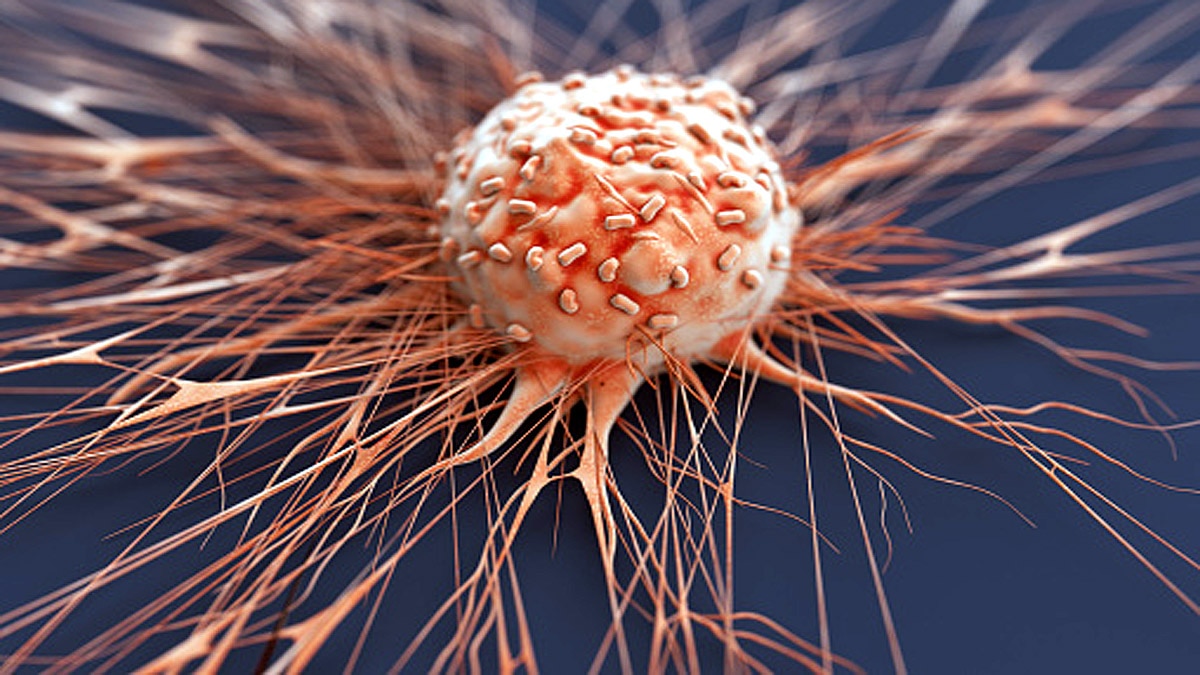 Excess Peanut Eating Causes Cancer