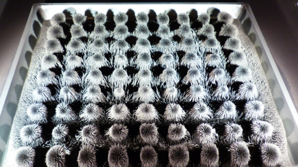  पुरुषों के लिए गर्भनिरोधक