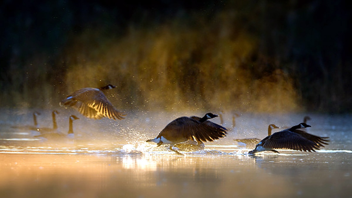 IPCC Climate Change Warming