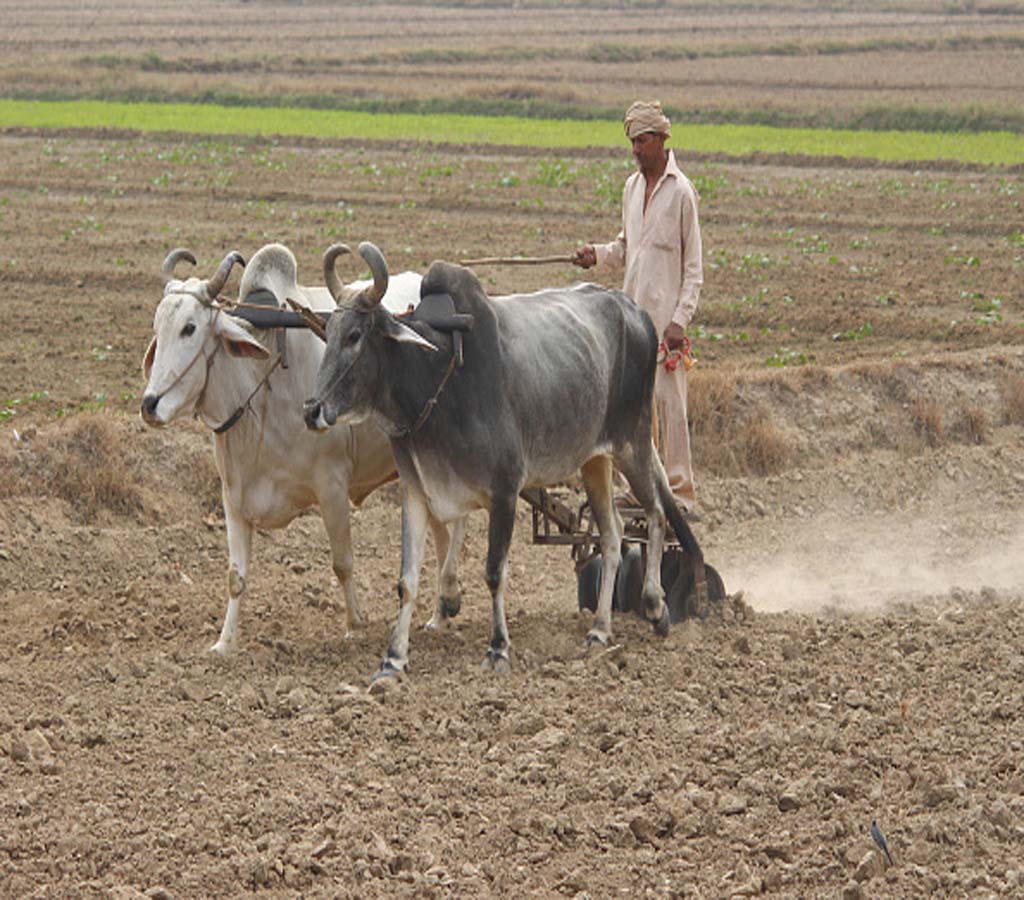 किसानों भी खुल