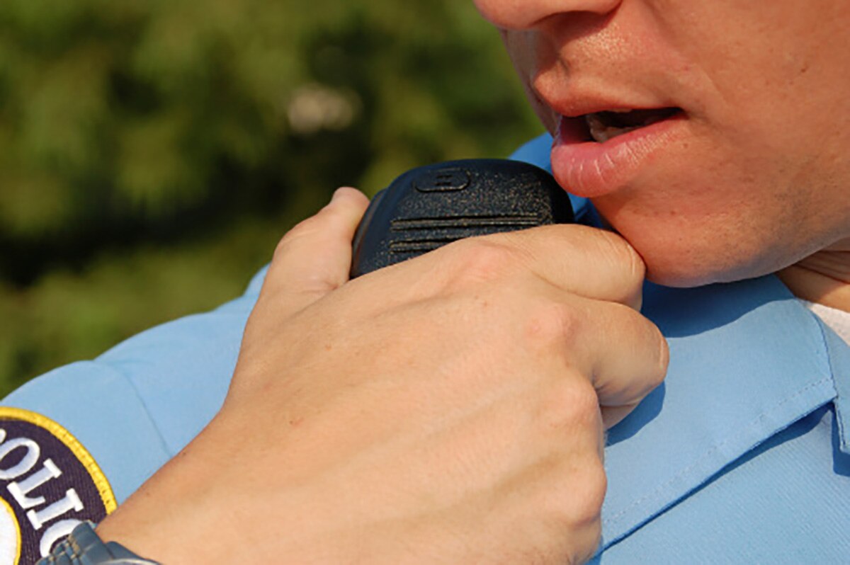 police got cockroach during search