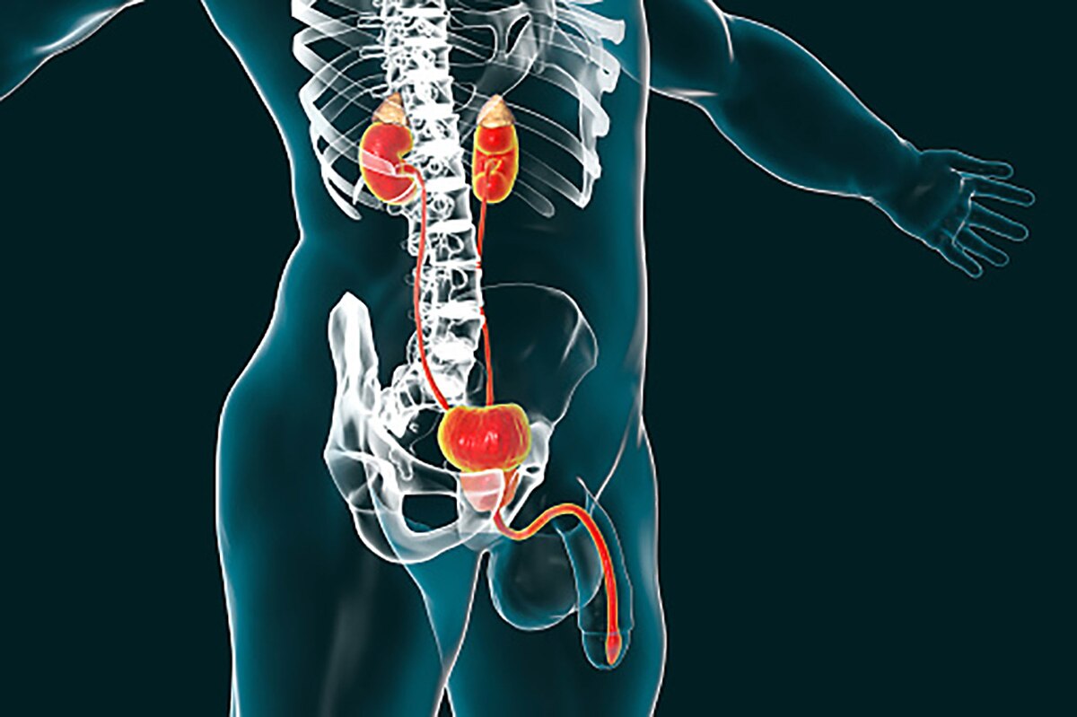 private part surgery