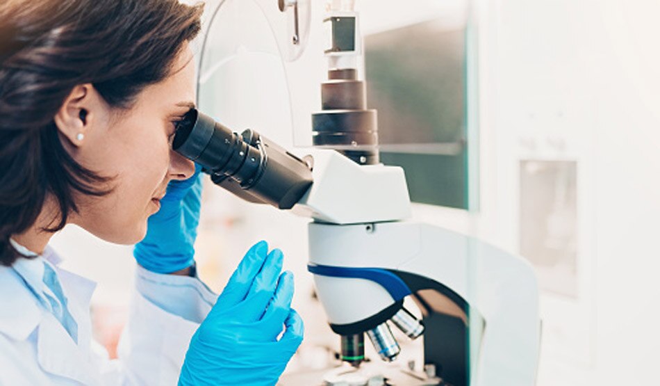 एक्सपर्ट9