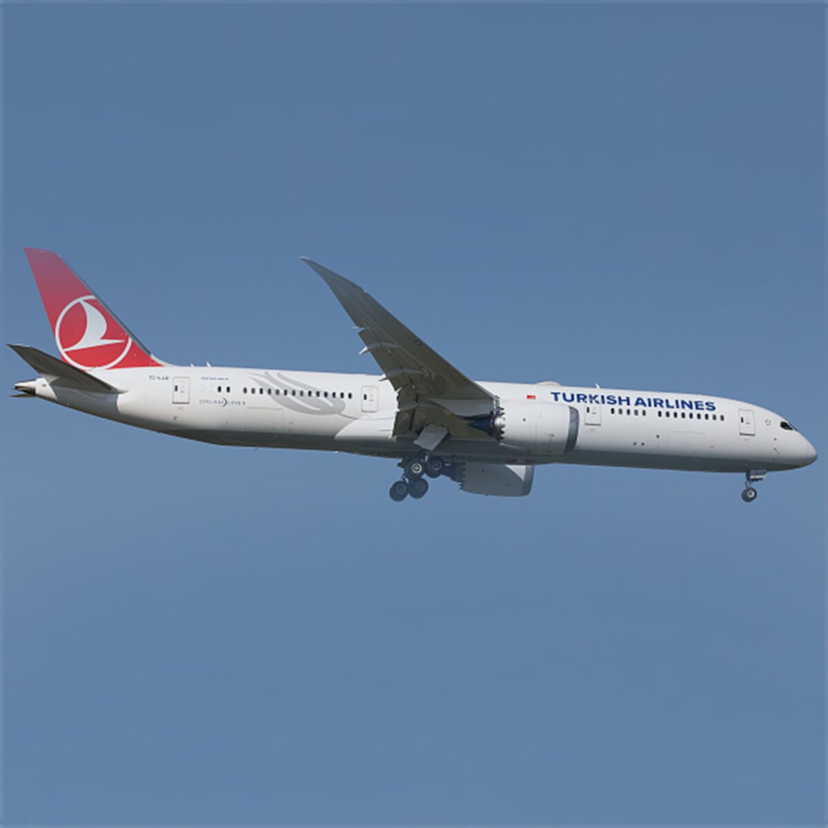 Baby born at 33 thousand feet