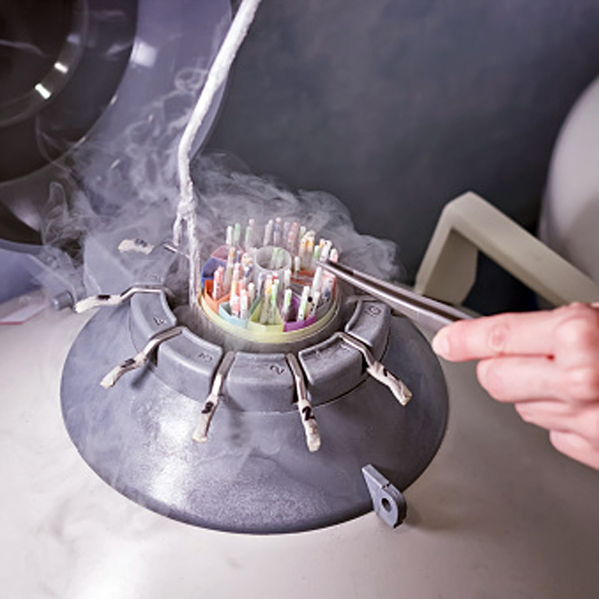 doctor secretly impregnate