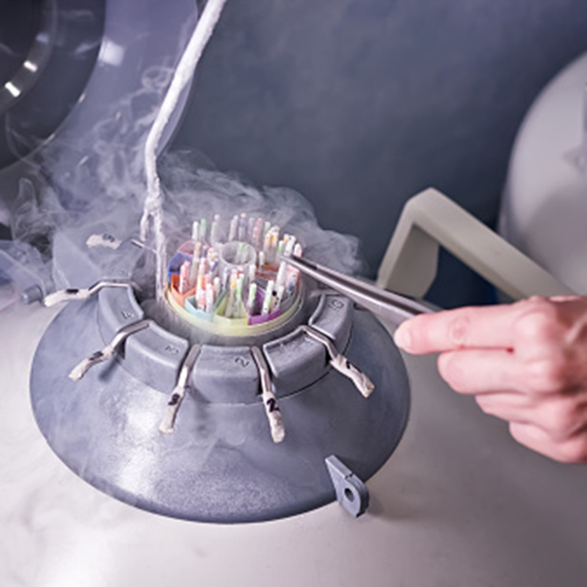 Father surprised DNA test of son