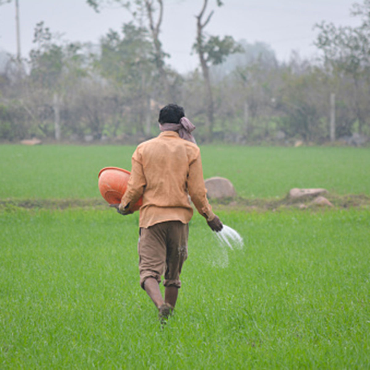 IAS Officer fertilizer 
