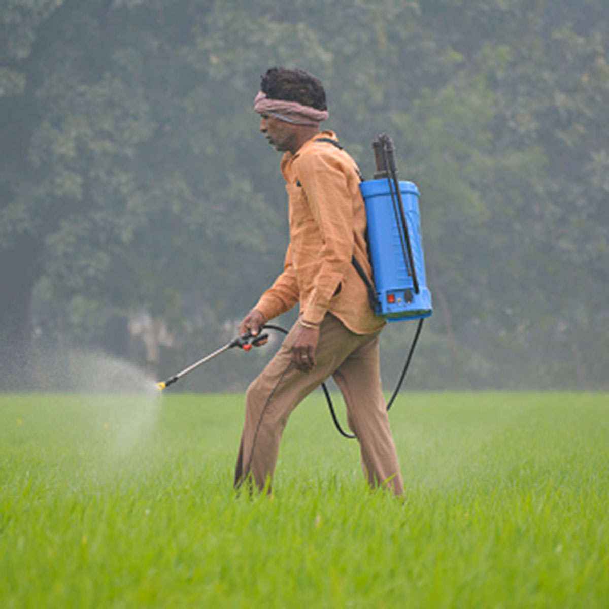 IAS Officer fertilizer 