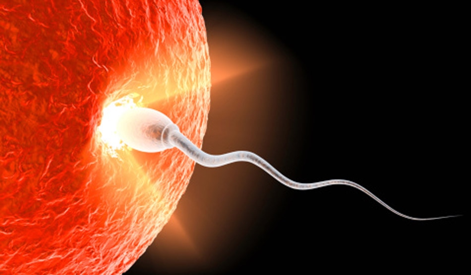 सेक्स के दौरान दर्द5