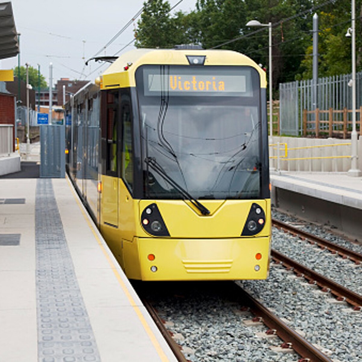 wakes up in different country