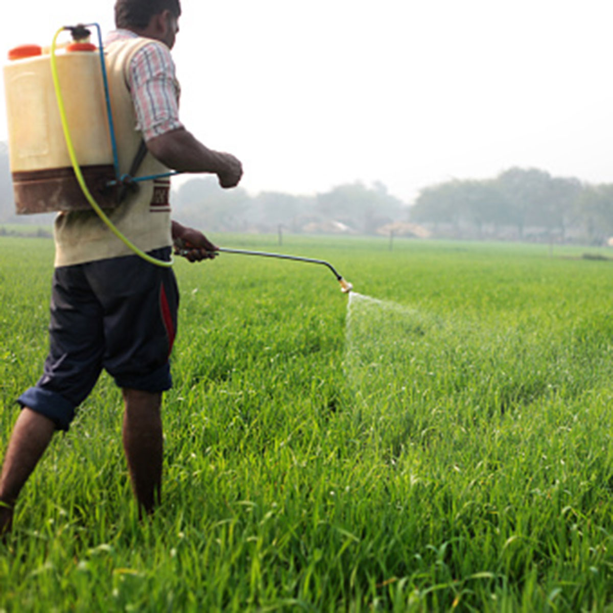 IAS Officer fertilizer 