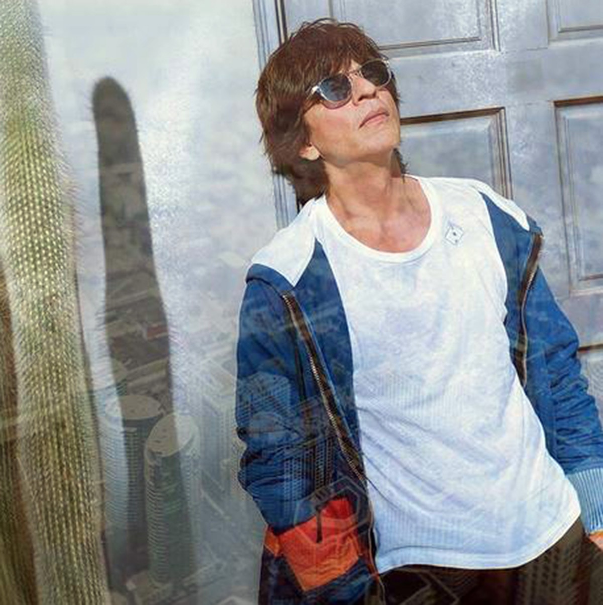 शाहरुख खान