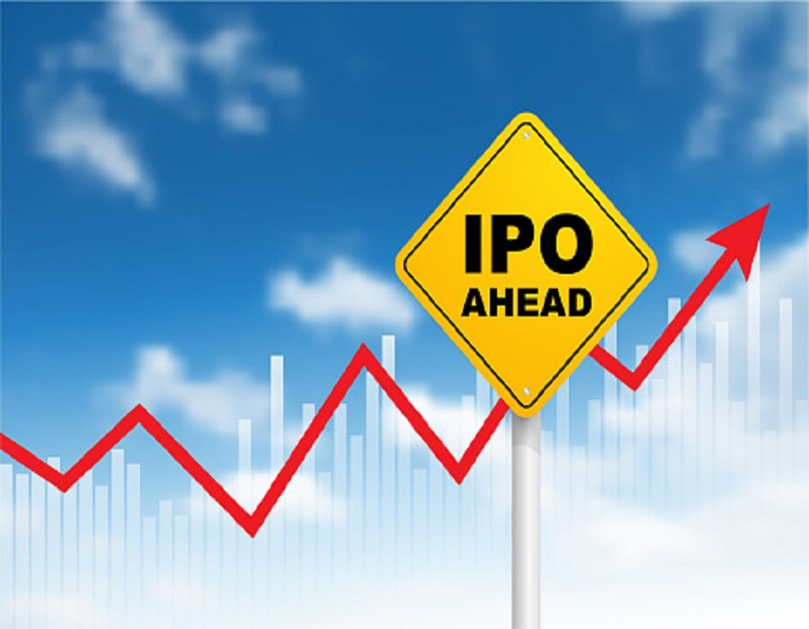 Devyani International IPO price band