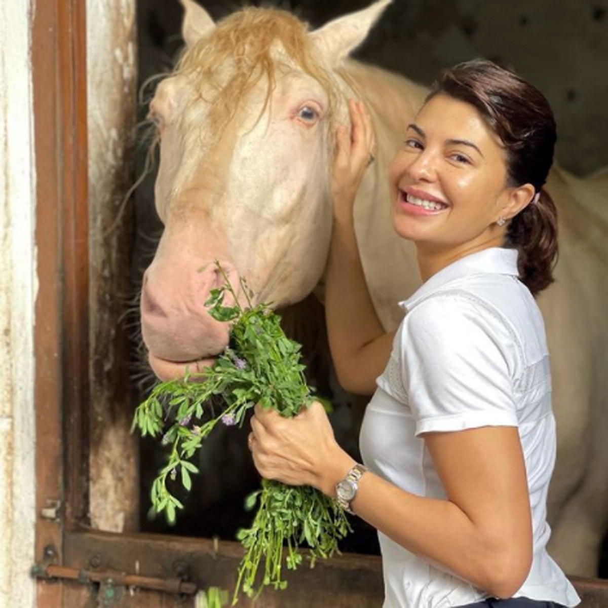 जैकलीन फर्नांडिस