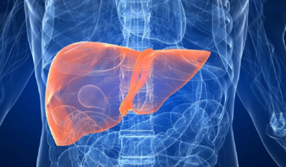 लिवर5