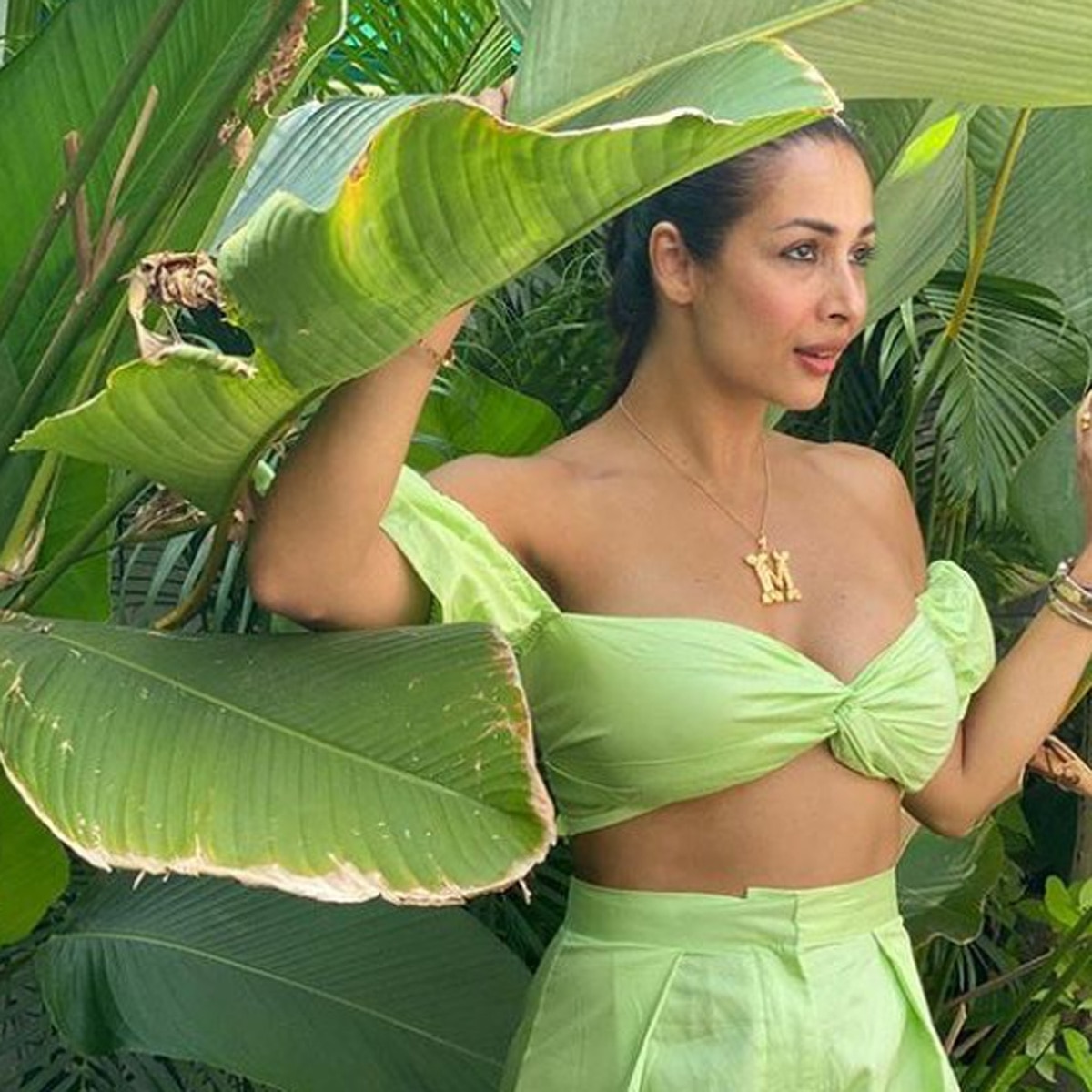 मलाइका अरोड़ा 