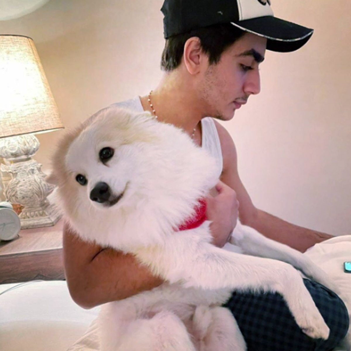 मलाइका अरोड़ा 