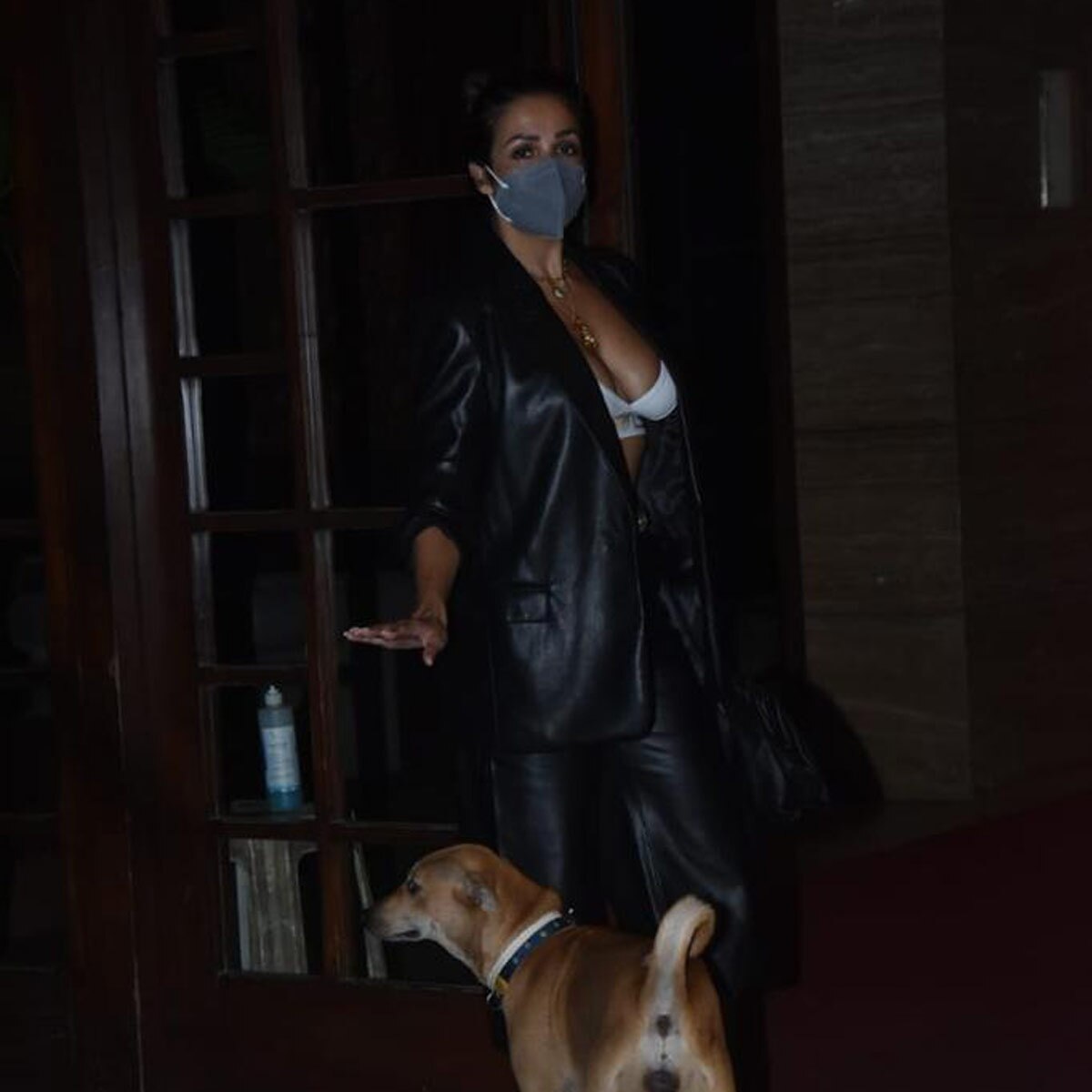 मलाइका अरोड़ा