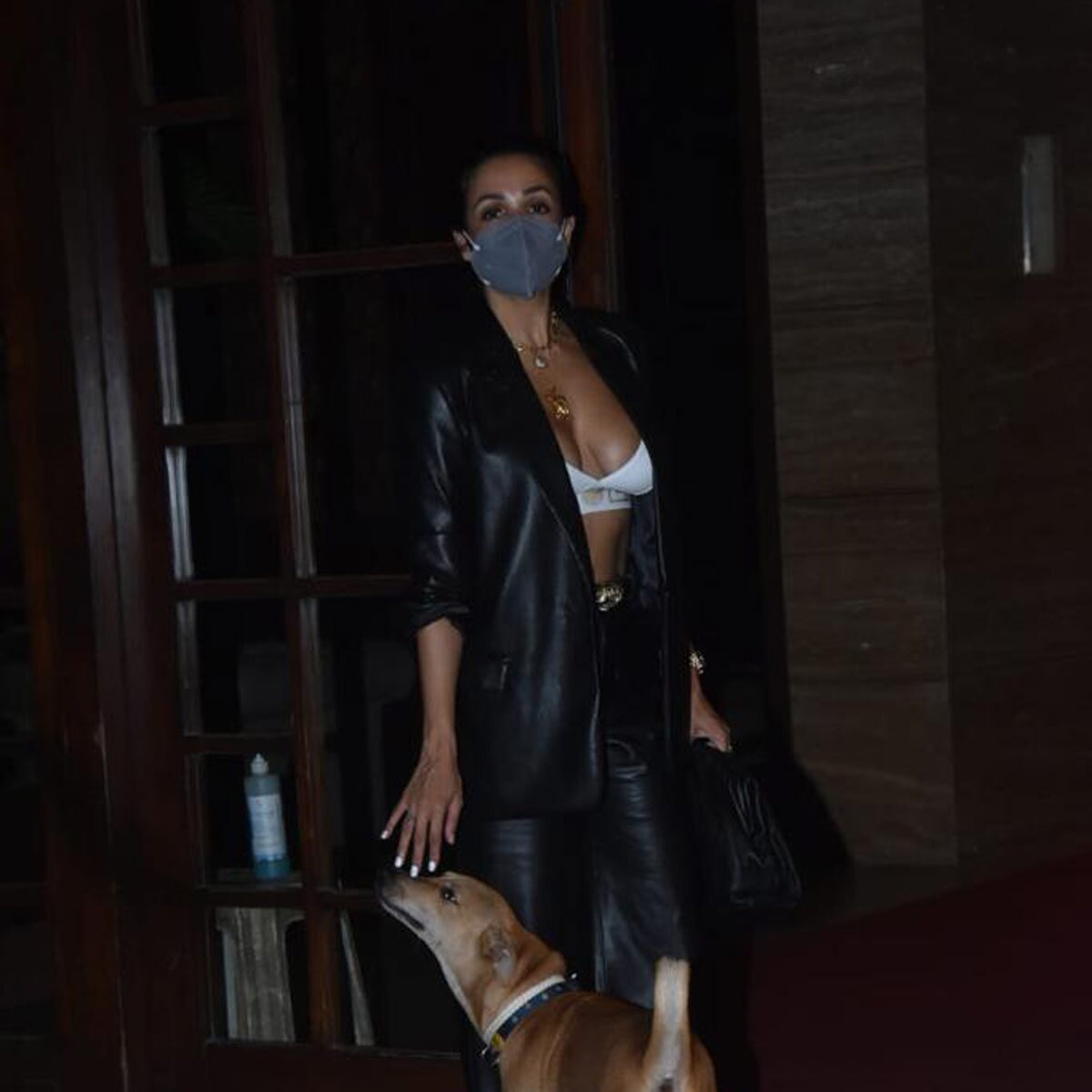 मलाइका अरोड़ा