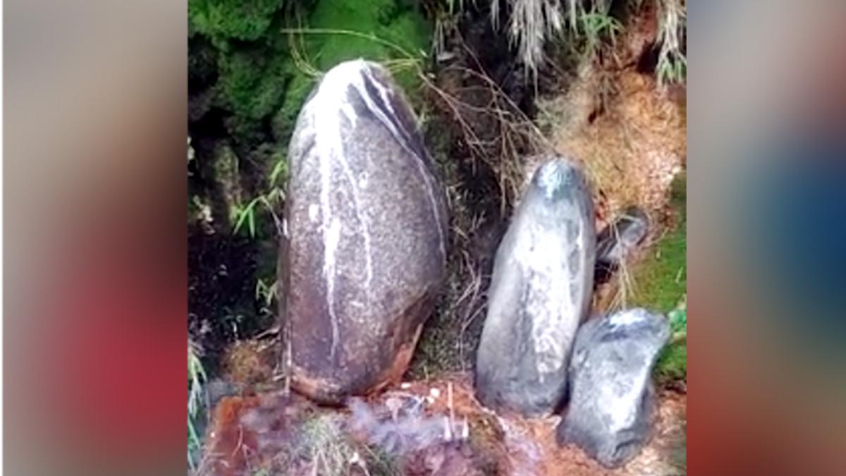 पहाड़ी से न‍िकल रहा दूध जैसा तरल.