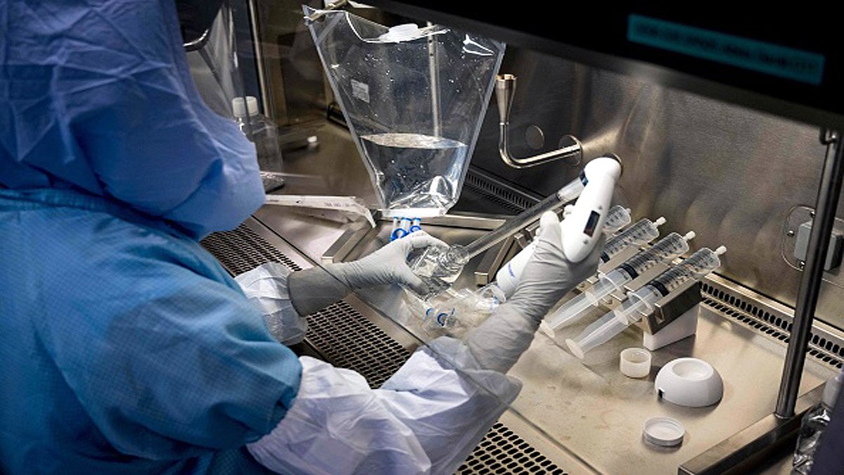 Marburg Virus Guinea Africa