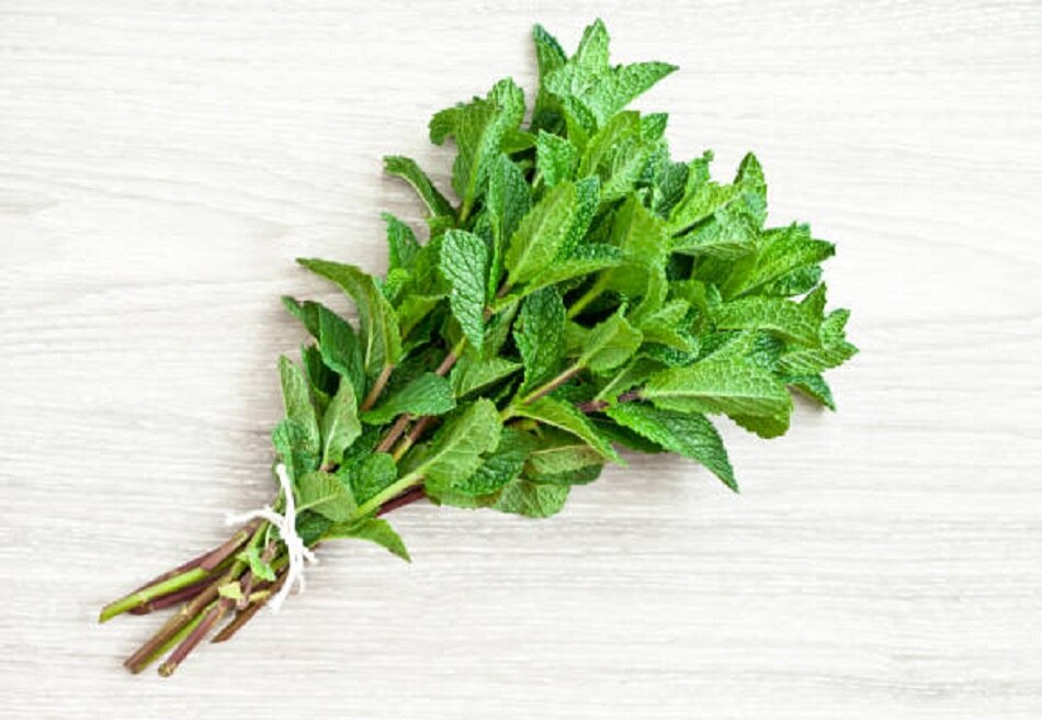 शरीर को ठंडा रखेंगी ये 10 चीजें