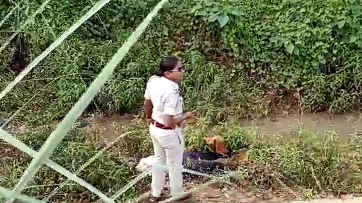 Do not have to spend on marriage step mother and real father killed daughter