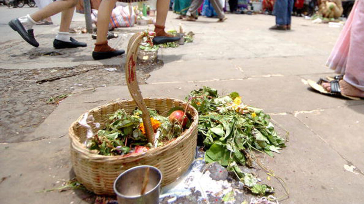 नागपंचमी के दिन न करें ये काम