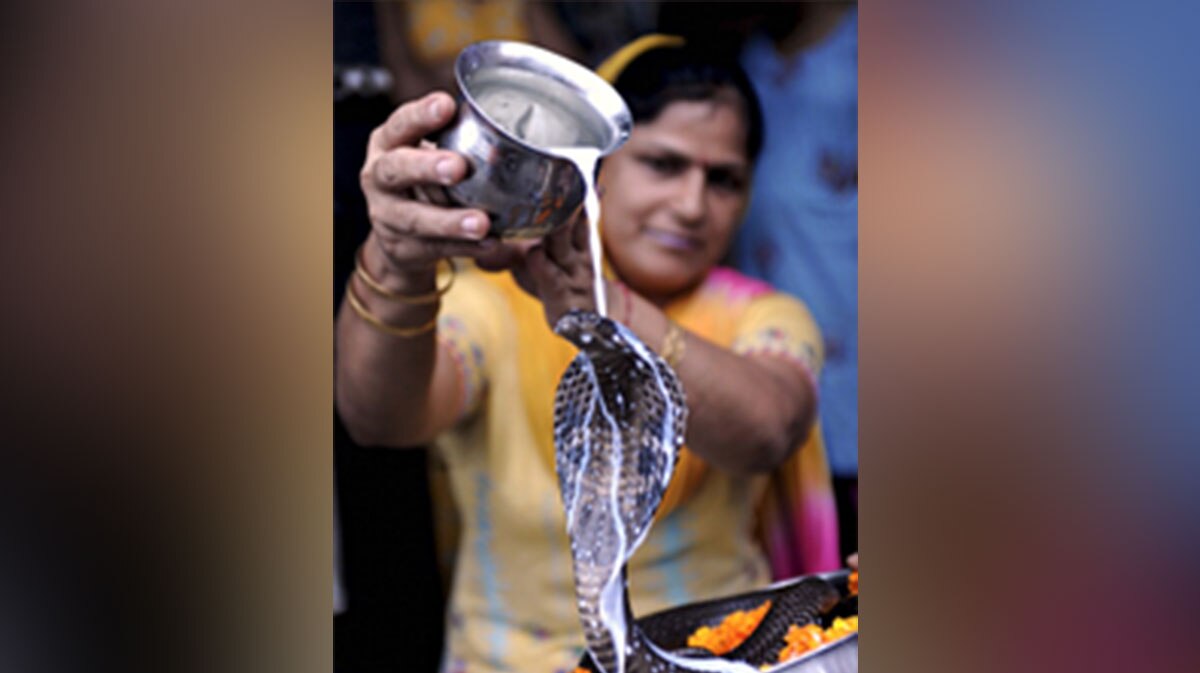 नागपंचमी के दिन न करें ये काम