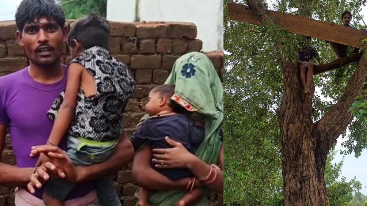 Family sitting on tree for 24 hours